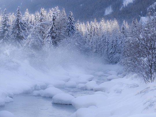 Jesacherhof: Ihr Hotel im Defereggental Verschneiter Fluss mit Bäumen im Winternebel