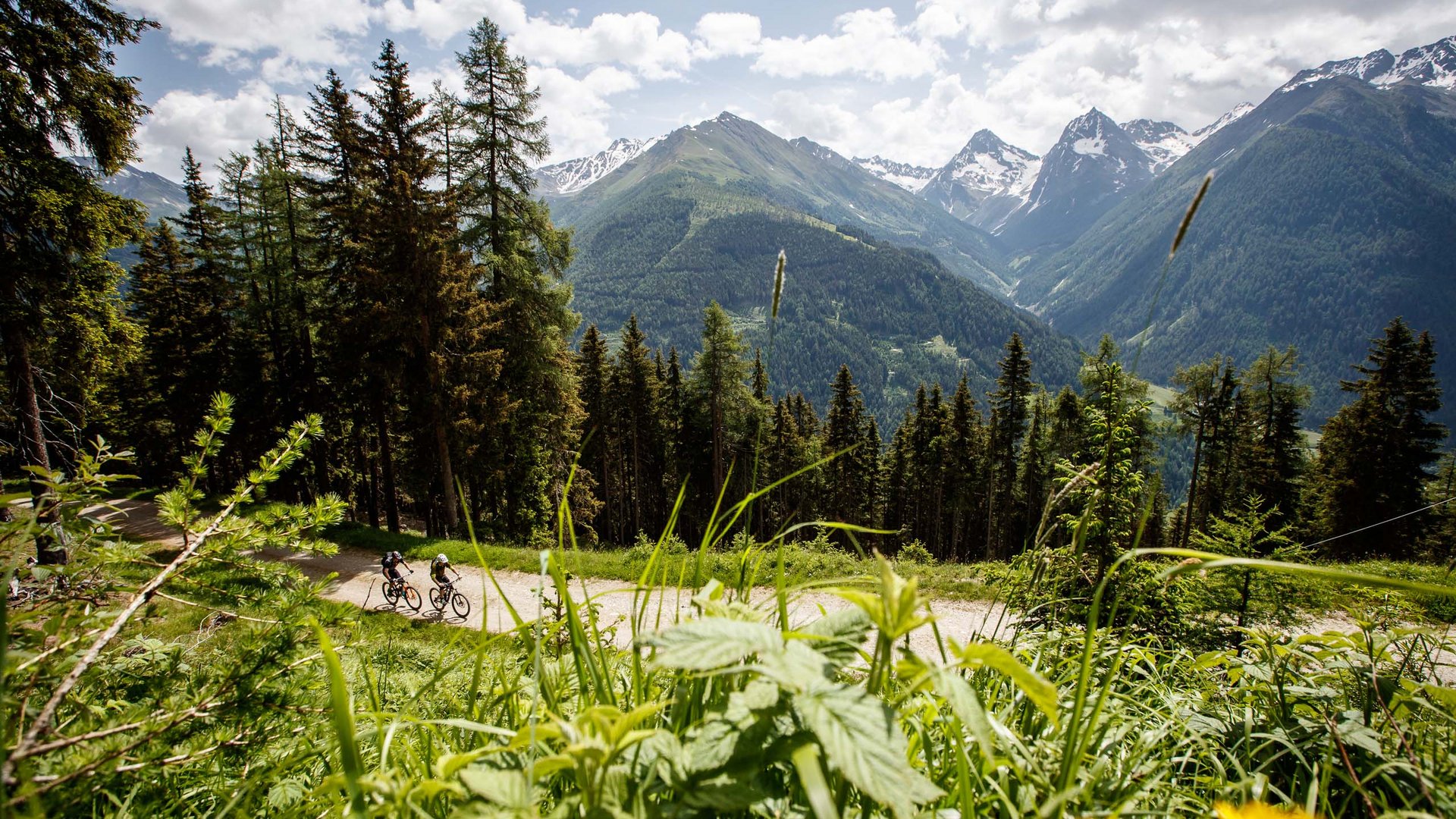 Jesacherhof: Ihr Hotel im Defereggental Zwei Radfahrer auf einem Bergweg mit Wald und schneebedeckten Gipfeln im Hintergrund